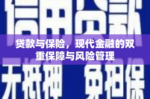 彰化贷款与保险，现代金融的双重保障与风险管理