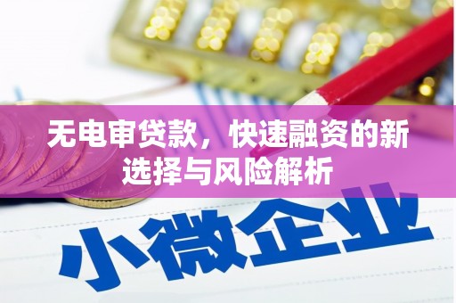 彰化无电审贷款，快速融资的新选择与风险解析