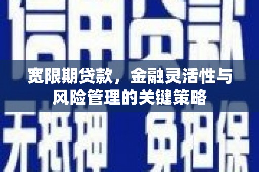 彰化宽限期贷款，金融灵活性与风险管理的关键策略