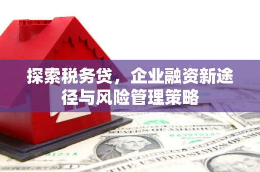 彰化探索税务贷，企业融资新途径与风险管理策略
