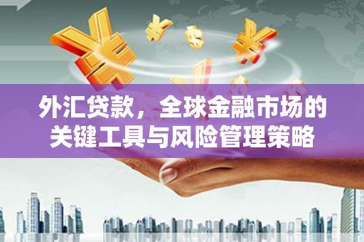 彰化外汇贷款，全球金融市场的关键工具与风险管理策略
