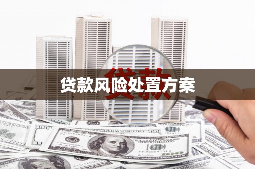 彰化贷款风险处置方案