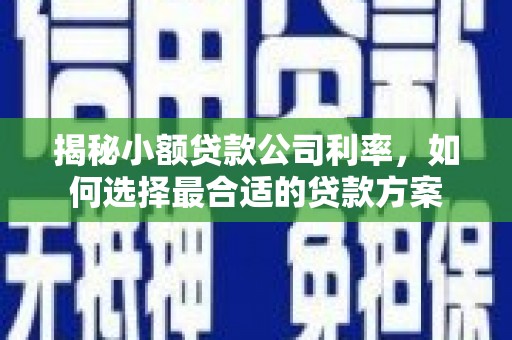 彰化揭秘小额贷款公司利率，如何选择最合适的贷款方案