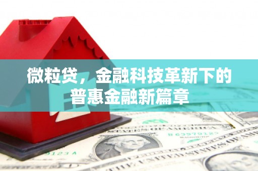 彰化微粒贷，金融科技革新下的普惠金融新篇章