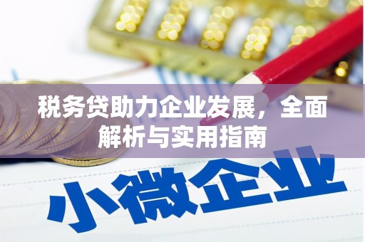 彰化税务贷助力企业发展，全面解析与实用指南
