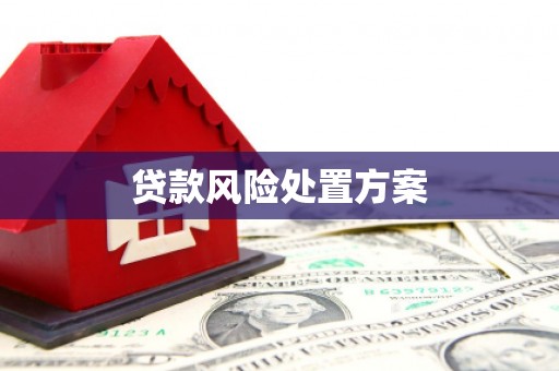 彰化贷款风险处置方案